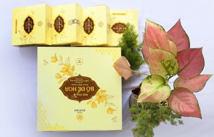 Tăng đề kháng khi giao mùa với mật ong Bồ Đề Hoa